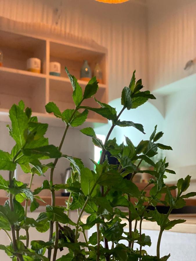 A Casa Del Console Apartment Manfredonia Εξωτερικό φωτογραφία