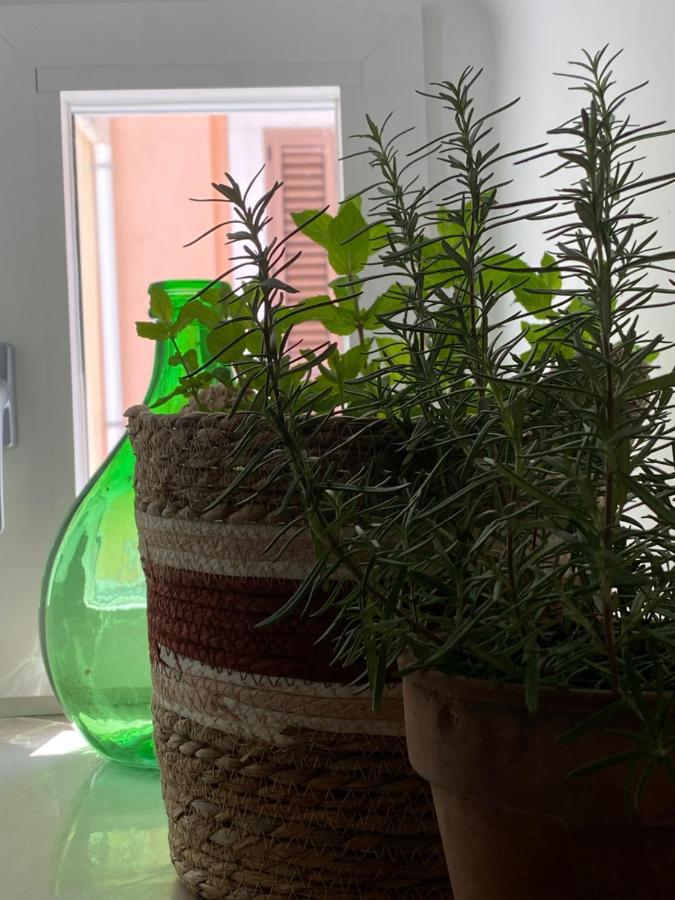 A Casa Del Console Apartment Manfredonia Εξωτερικό φωτογραφία